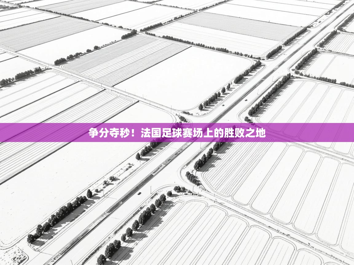 争分夺秒!法国足球赛场上的胜败之地 第1张