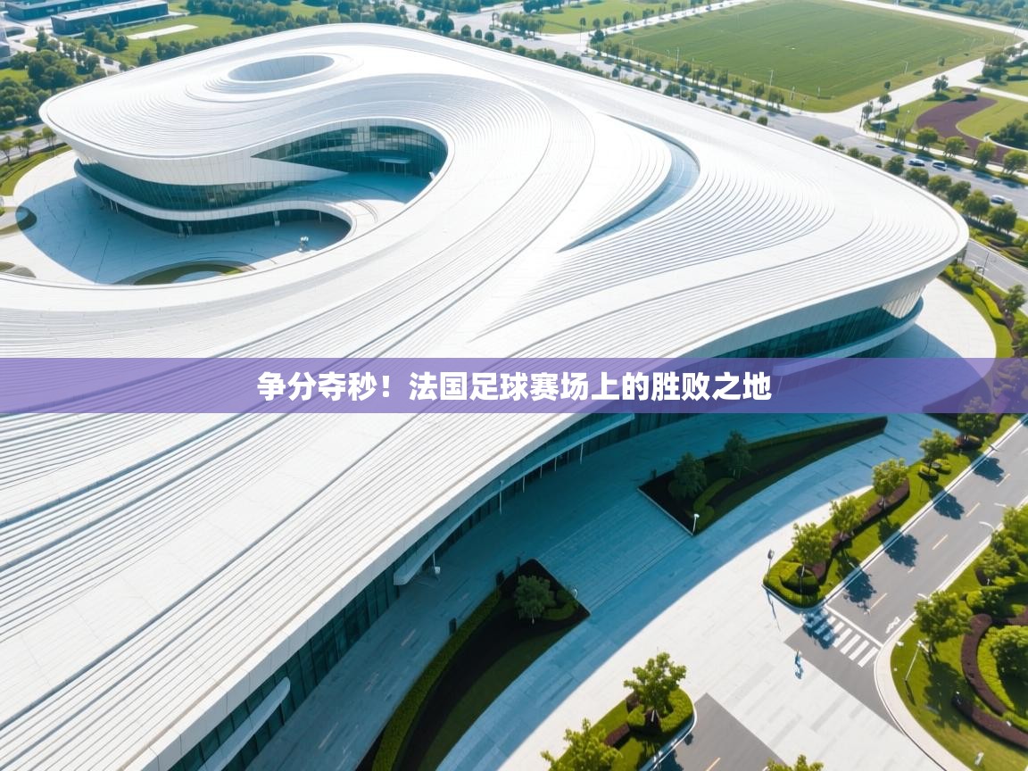 争分夺秒!法国足球赛场上的胜败之地 第2张