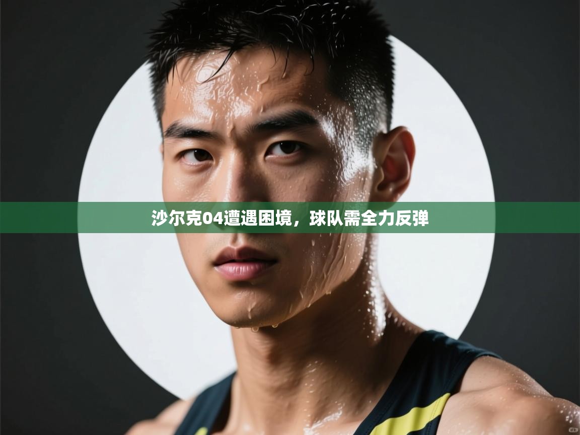 沙尔克04遭遇困境，球队需全力反弹  第2张