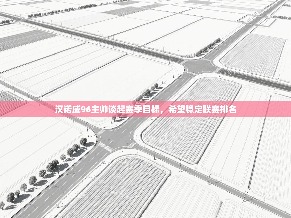 汉诺威96主帅谈起赛季目标，希望稳定联赛排名  第1张