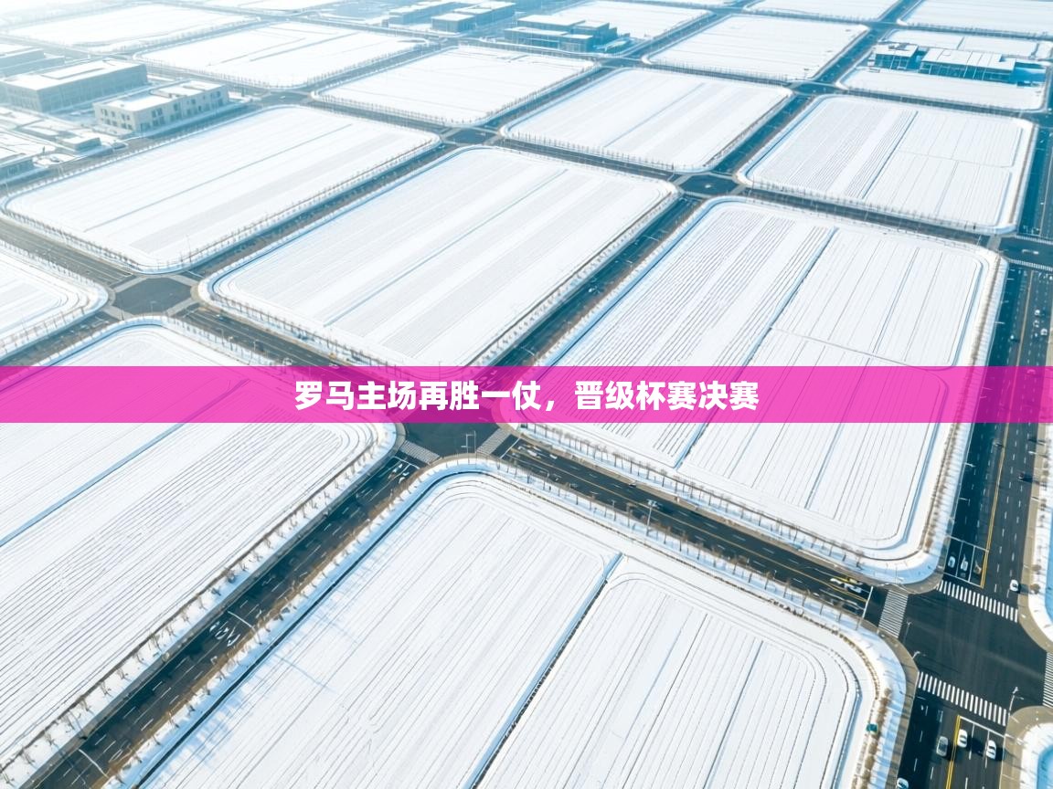 罗马主场再胜一仗,晋级杯赛决赛 第2张