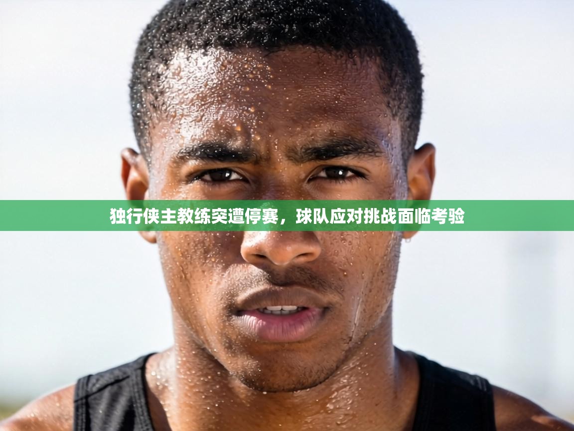 独行侠主教练突遭停赛，球队应对挑战面临考验  第2张